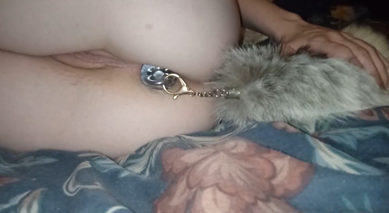 Pet Plays With Tail