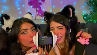 ASMR Catgirl Ear Licking & Flirty Whispering with Eye Contact
